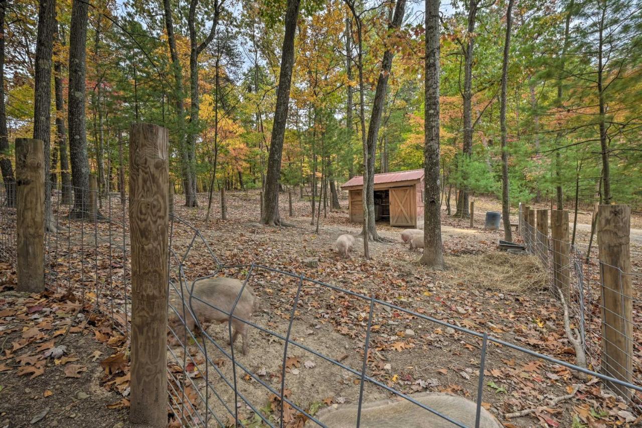 Rustic Clint Eastwood Ranch Apt By Raystown Lake 헌팅던 외부 사진